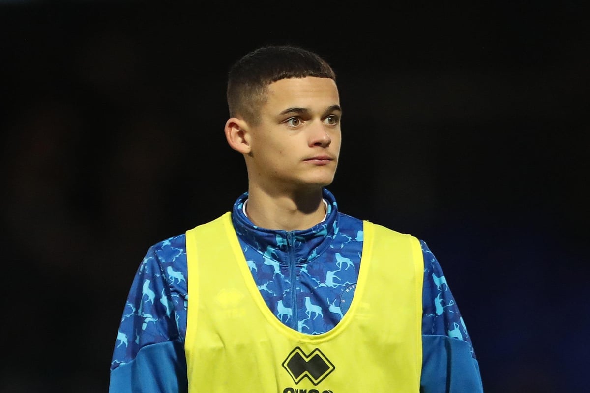 Read more about the article Steelmen land Max Storey loan