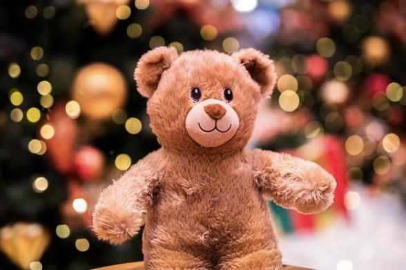Read more about the article Support The Teesside Charity’s Christmas Toy Appeal at Green Lane